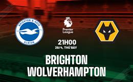 Nhận định Brighton vs Wolves (21h00 ngày 29/4): Trở lại cuộc đua