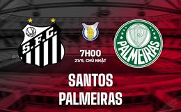 Nhận định bóng đá Santos vs Palmeiras 7h00 ngày 21/5 (VĐQG Brazil 2023)