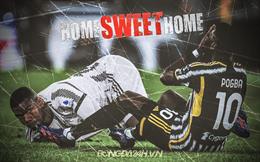 Mùa giải 2022/23: Một mùa vứt đi của Paul Pogba