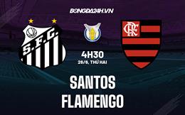 Nhận định bóng đá Santos vs Flamengo 4h30 ngày 26/6 (VĐQG Brazil 2023)