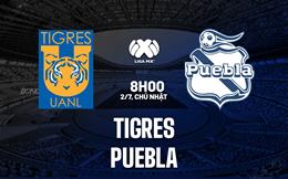 Nhận định - dự đoán Tigres vs Puebla 8h00 ngày 2/7 (VĐQG Mexico 2023/24)