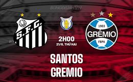 Nhận định - dự đoán Santos vs Gremio 2h00 ngày 21/8 (VĐQG Brazil 2023)