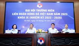 Sẽ có tỉ phú ra tranh ghế Chủ tịch Liên đoàn Bóng đá Việt Nam?
