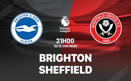 Nhận định Brighton vs Sheffield (21h00 ngày 12/11): Đưa tân binh trở lại mặt đất