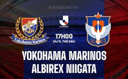 Nhận định Yokohama Marinos vs Albirex Niigata 17h00 ngày 24/11 (VĐQG Nhật Bản 2023)