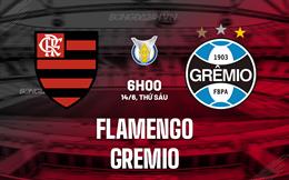 Nhận định bóng đá Flamengo vs Gremio 6h00 ngày 14/6 (VĐQG Brazil 2024)