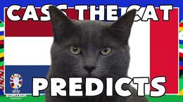 Mèo tiên tri Cass dự đoán kết quả trận đại chiến Hà Lan vs Pháp