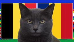 Dự đoán kết quả trận Bỉ vs Romania của mèo tiên tri Cass