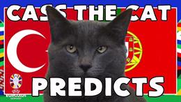 Mèo tiên tri dự đoán bất ngờ về kết quả trận Thổ Nhĩ Kỳ vs Bồ Đào Nha