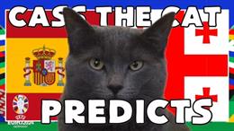 Mèo tiên tri dự đoán cực sốc về kết quả trận Tây Ban Nha vs Georgia