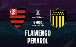 Nhận định Flamengo vs Penarol 5h00 ngày 20/9 (Copa Libertadores 2024)