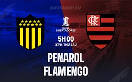 Nhận định Penarol vs Flamengo 5h00 ngày 27/9 (Copa Libertadores 2024)