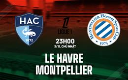 Nhận định bóng đá Le Havre vs Montpellier 23h00 ngày 3/11 (Ligue 1 2024/25)