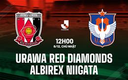 Nhận định Urawa Red Diamonds vs Albirex Niigata 12h00 ngày 8/12 (VĐQG Nhật Bản 2024)