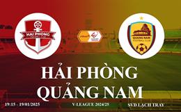 Trực tiếp bóng đá Hải Phòng vs Quảng Nam link xem V-League 2024/25