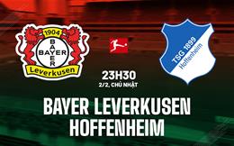 Nhận định Leverkusen vs Hoffenheim (23h30 ngày 2/2): Tiếp tục bám đuổi