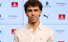 Tiểu sử cầu thủ Joao Felix