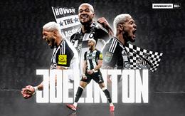 Joelinton: Chiếc máy quét đầy tính cơ bắp của Newcastle