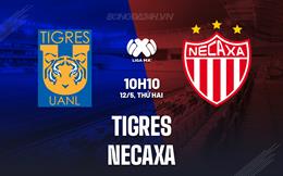 Nhận định bóng đá Tigres vs Necaxa 10h10 ngày 12/5 (VĐQG Mexico 2024/25)