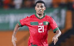 Tiểu sử cầu thủ Amine Adli