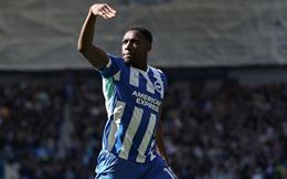 Thomas Tuchel, hãy cân nhắc Danny Welbeck!