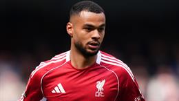 Tottenham quan tâm tiền đạo Cody Gakpo của Liverpool