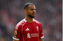 Tottenham nên chiêu mộ Cody Gakpo thay vì Nicolas Jackson