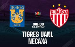 Nhận định bóng đá Tigres UANL vs Necaxa 8h00 ngày 6/9 (VĐQG Mexico 2026/27)
